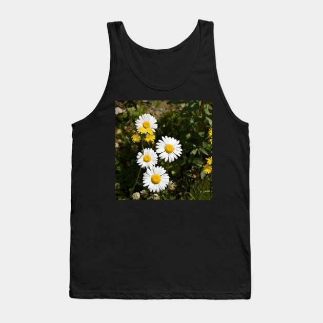 A grouping of springtime daisies Tank Top by Steves-Pics